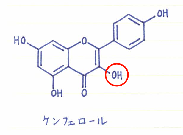 薬剤師監修 利尿作用のあるフラボノイドについて構造式の特徴を考察 メディカルハーブ ククット